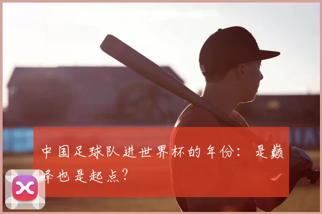 中国足球队进世界杯的年份：是巅峰也是起点？