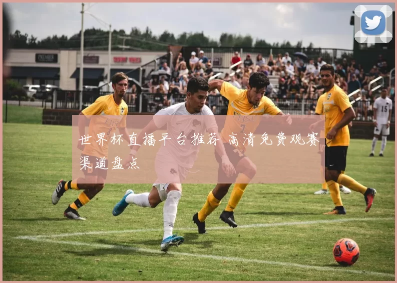 世界杯直播平台推荐 高清免费观赛渠道盘点