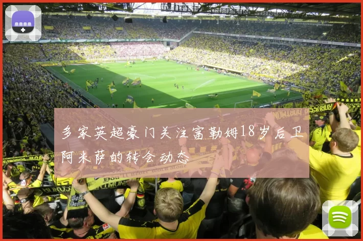 多家英超豪门关注富勒姆18岁后卫阿米萨的转会动态