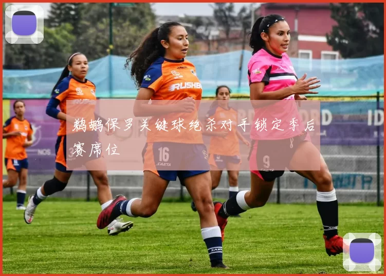 鹈鹕保罗关键球绝杀对手锁定季后赛席位