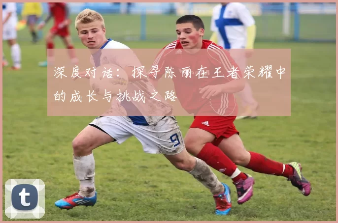 深度对话:探寻陈丽在王者荣耀中的成长与挑战之路