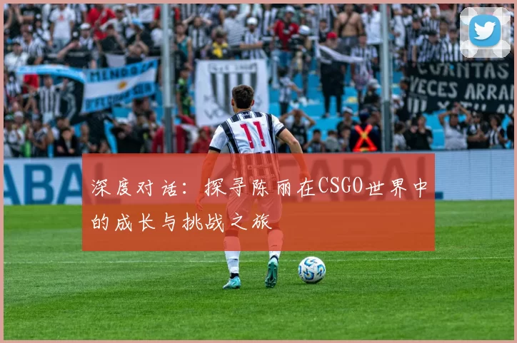 深度对话:探寻陈丽在CSGO世界中的成长与挑战之旅