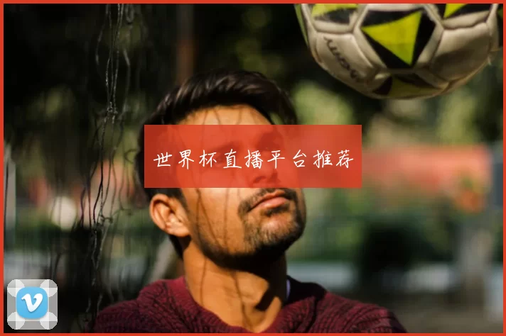 世界杯直播平台推荐