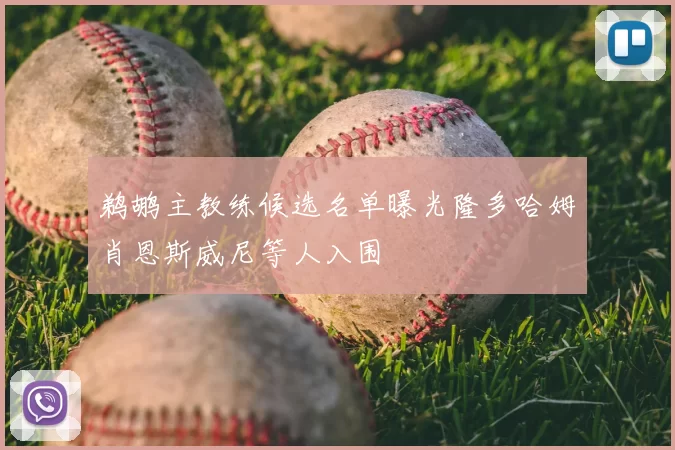 鹈鹕主教练候选名单曝光隆多哈姆肖恩斯威尼等人入围