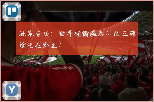 独家专访：世界杯输赢购买的正确途径在哪里？