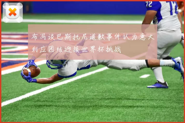 布冯谈巴斯托尼道歉事件认为意大利应团结迎接世界杯挑战
