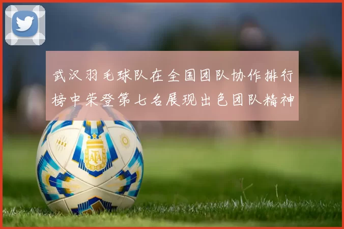 武汉羽毛球队在全国团队协作排行榜中荣登第七名展现出色团队精神与实力